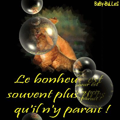 LE bonheur