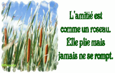 l'amitié