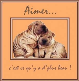 l'amour