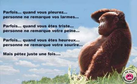 pensée du jour ..