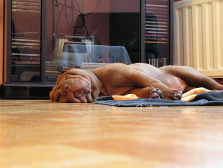 la sieste