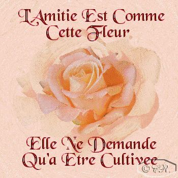 l'amitié