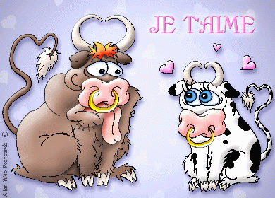 pour mon didier