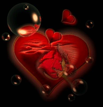 amour